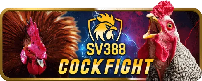 Hỗ trợ khách hàng 09vip nhà cái